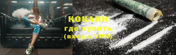 молекула духа Богородицк