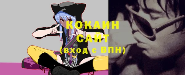 молекула духа Богородицк