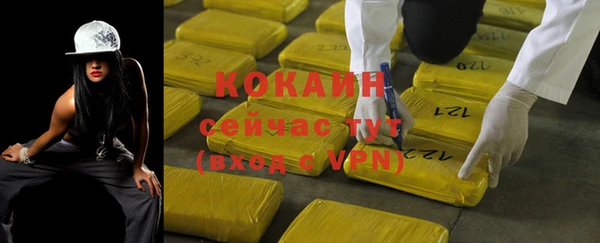 mdpv Бородино