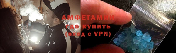 молекула духа Богородицк