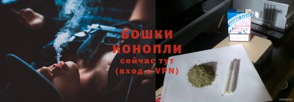 не бодяженный Богданович