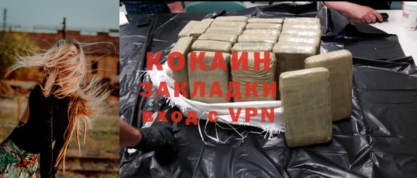 молекула духа Богородицк