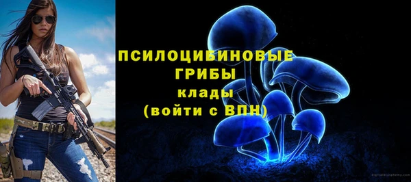 молекула духа Богородицк